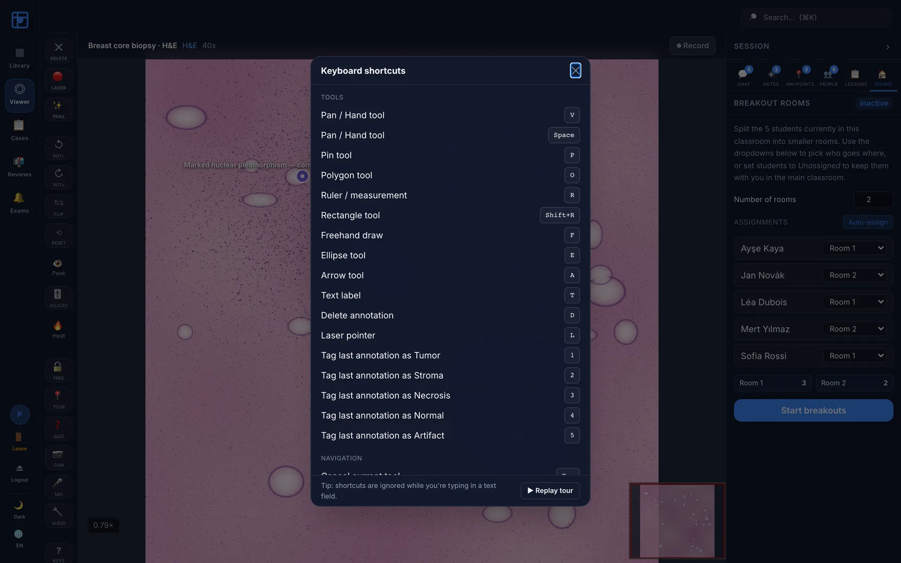 Keyboard shortcuts modal listing tool and navigation shortcuts including ROI tagging keys.